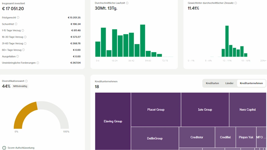 mintos diversifikation